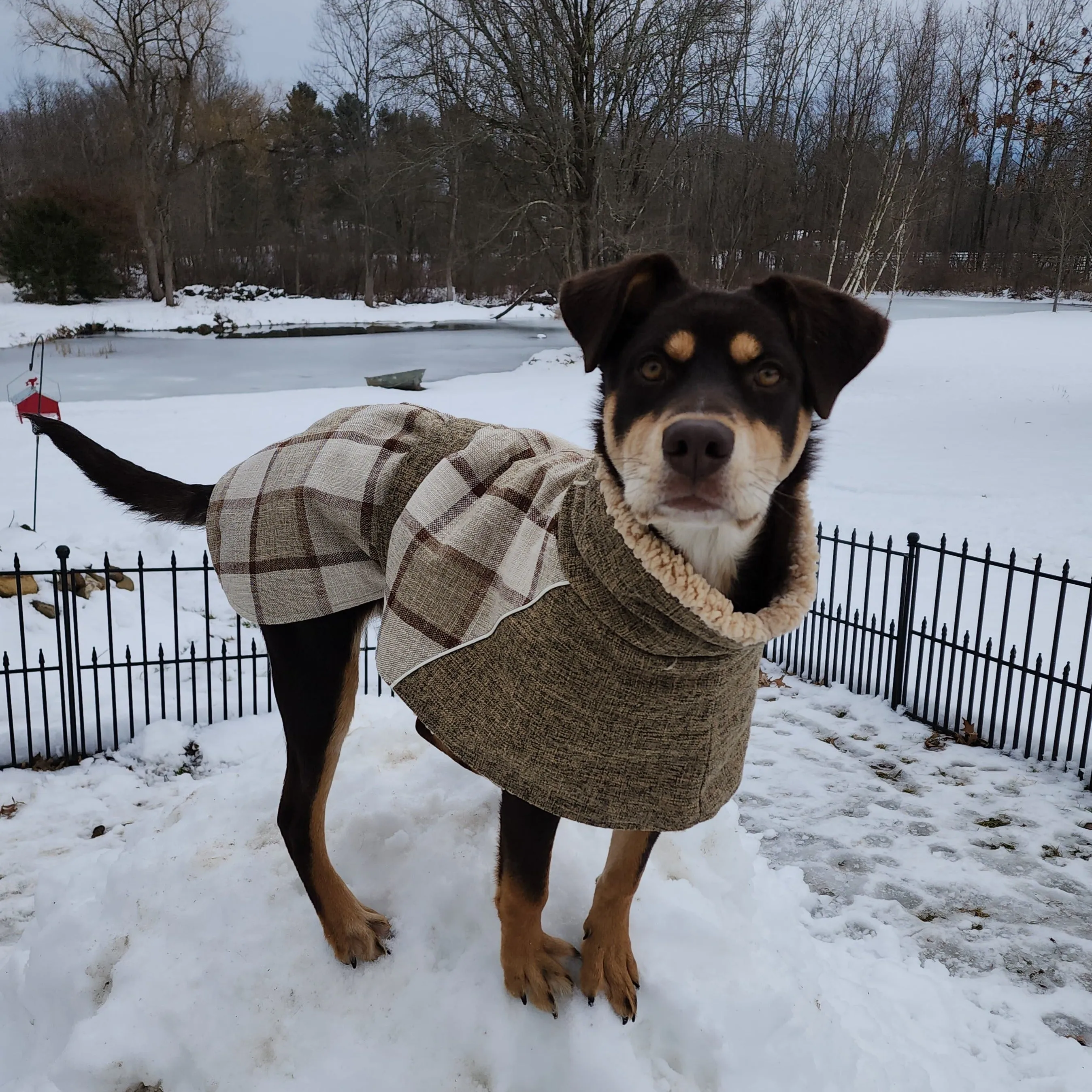 Plaid Hunting Lodge Large Dog Coat